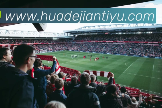 半岛手机版官方网站APP 封面图